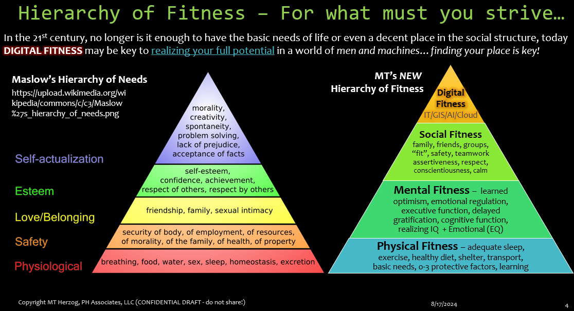 Digital Fitness Hierarchy